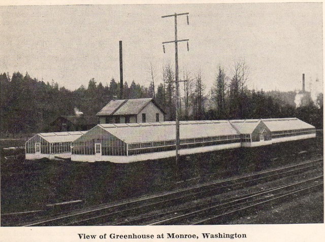 Greenhouse at Monroe, WA